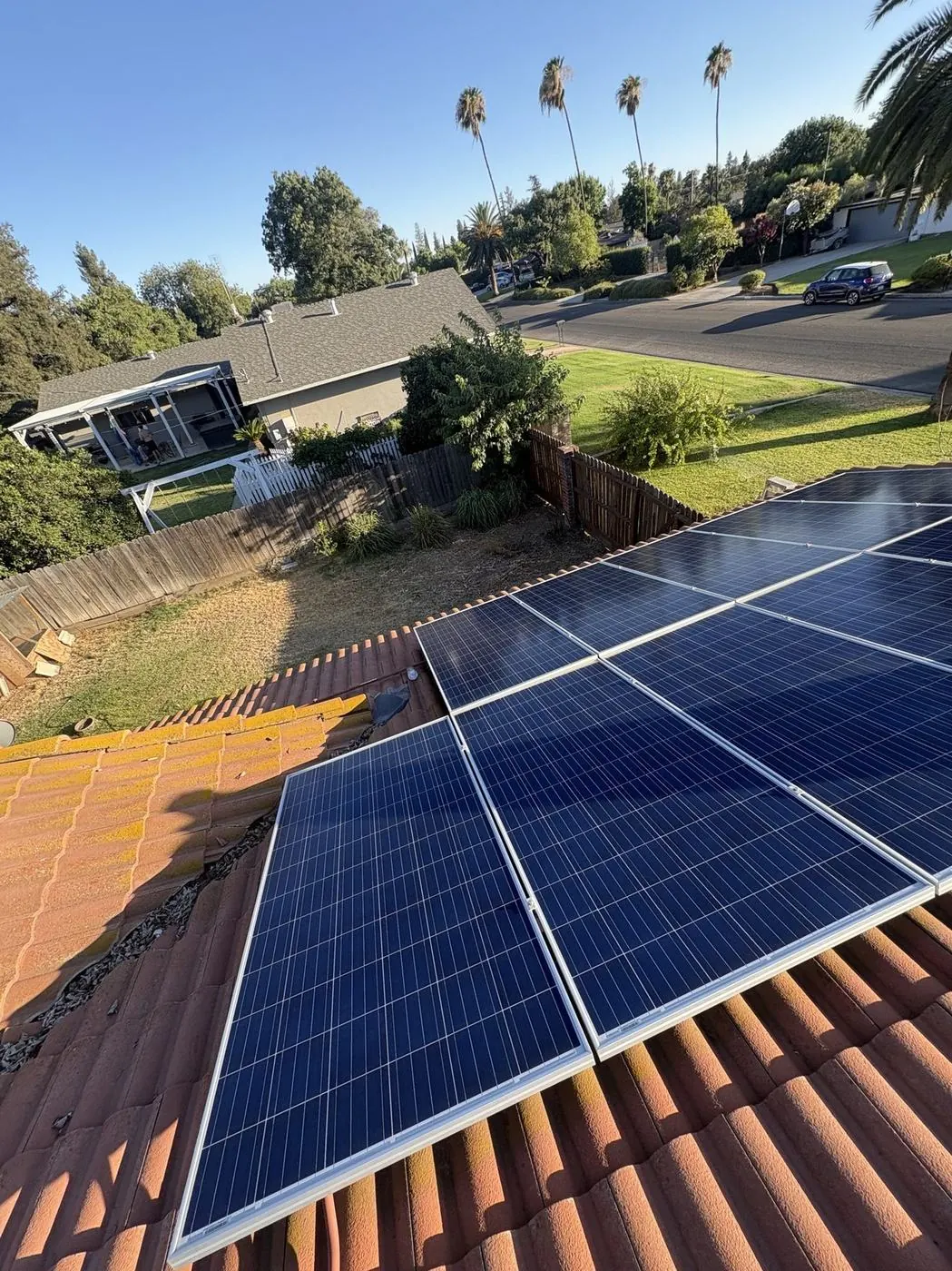 Clean rooftop solar array with palm trees and blue sky in the background.